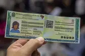 Divulgação  (Foto: Governo do estado )
