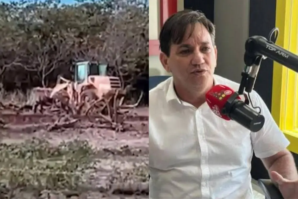 Reprodução