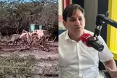 Reprodução  (Foto: Opinião é notícia )