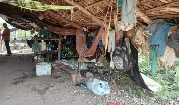 Divulgação / MPT
