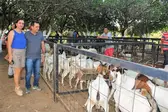 Prefeito Genival Bezerra acompanhado da primeira-dama Lêda Miranda. (Foto: ASCOM-JP)