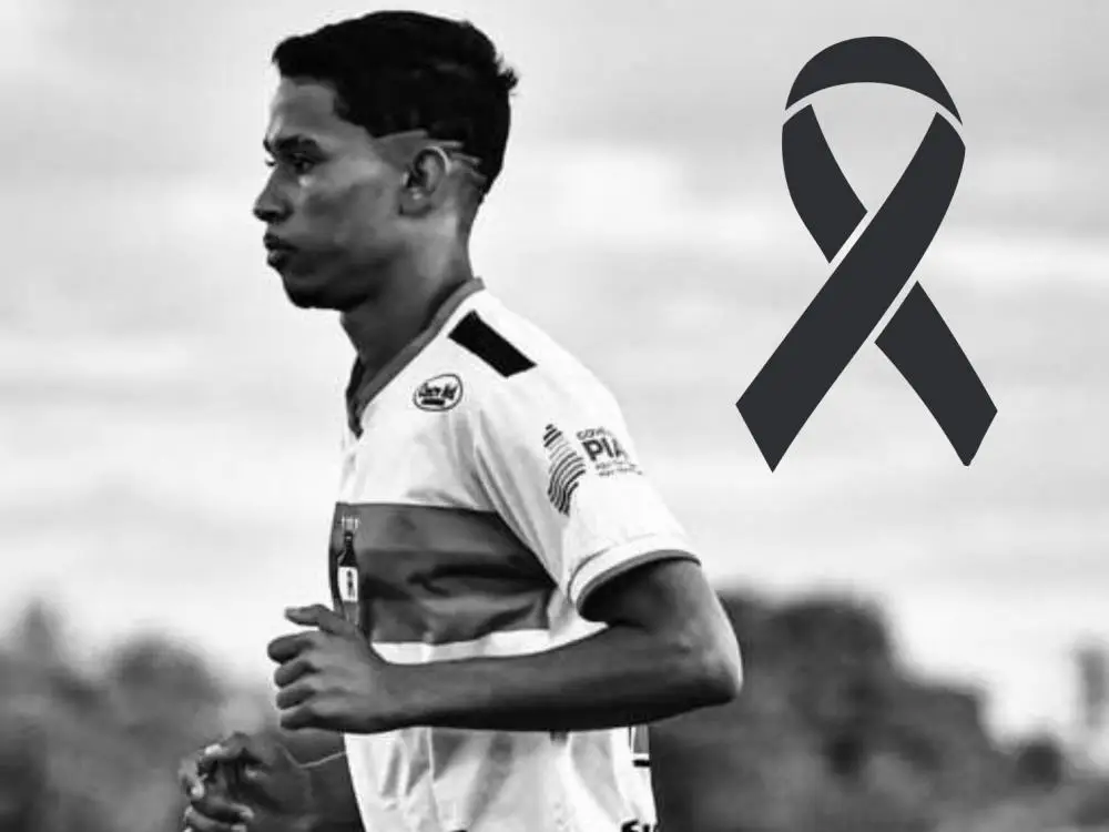 Divulgação / River 