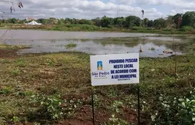 Averiguações de denuncias (Foto: Meio Ambiente)