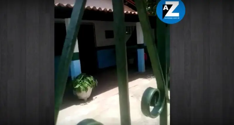 Foto Divulgação