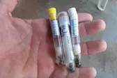 Larvas do mosquito (Foto: Ascom)