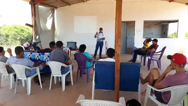Curso doma racional e rédeas