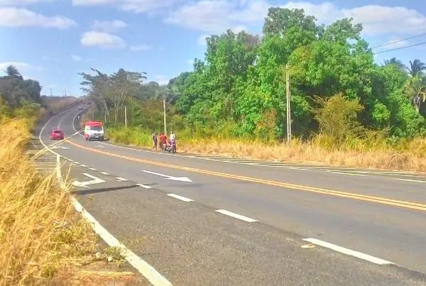 BR-343 (Foto: Canal 121)
