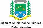  (Foto: Câmera Municipal/Jênerson Gonçalves da Silva)
