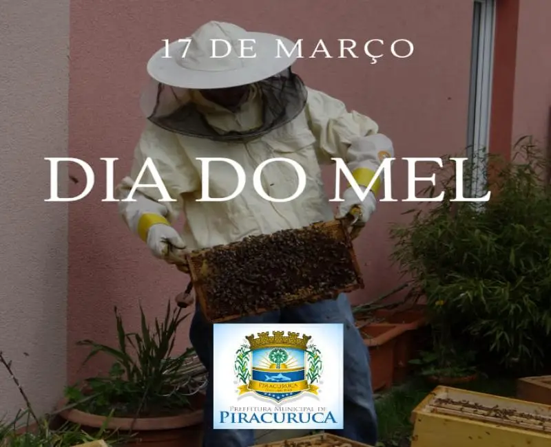 Prefeitura de Piracuruca