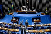  (Foto: Senado Federal)