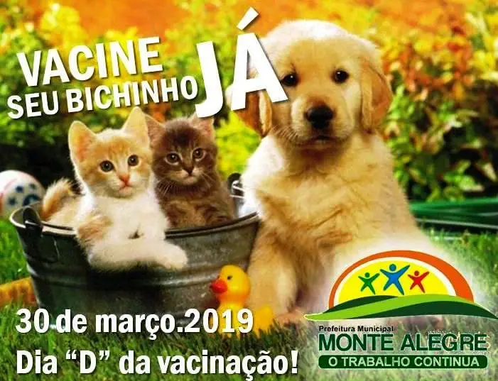 Foto Divulgação