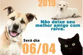  (Foto: Grupo Arraial Notícias )