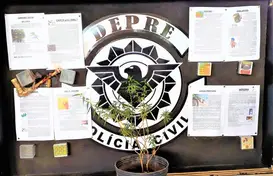 DEPRE (Foto: ASCOM )