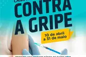 Campanha de vacinação contra a gripe (Foto: )