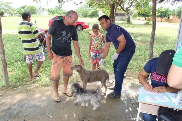 Vacinação antirrábica