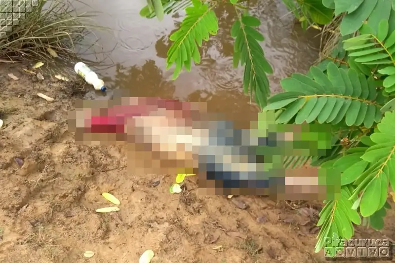 Foto: Reprodução/Piracuruca Ao Vivo