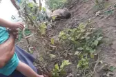 Foto: Reprodução/WhatsApp (Foto: Plantão Parnaíba)