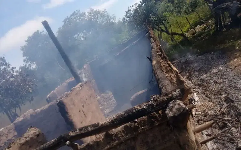 Foto:Reprodução/Realidade em Foco