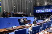 Foto: Waldemir Barreto/Agência Senado - Plenário do Senado  (Foto: Agência Brasil)