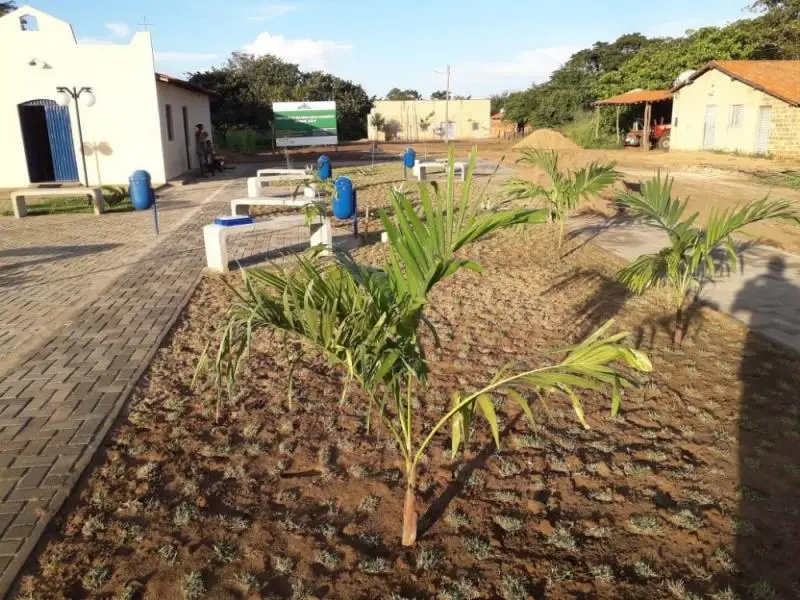 Foto: Divulgação/Lagoinha Notícia