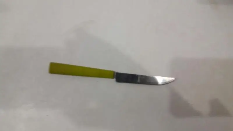 Faca utilizada pelo padrasto (Foto: Divulgação/PM)