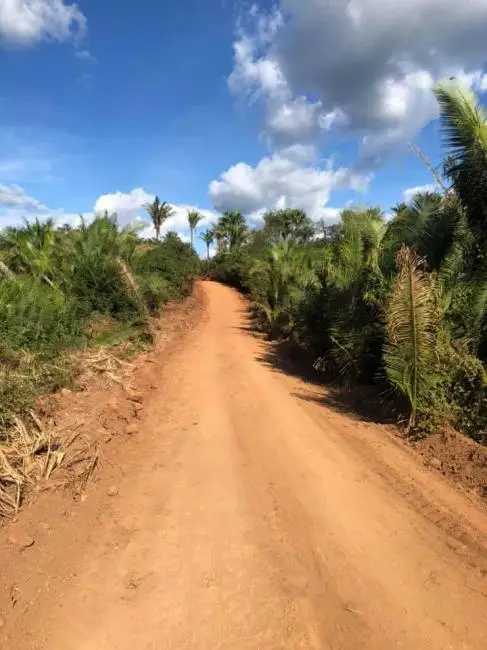 Foto: Divulgação/Lagoinha Notícia