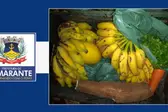 Reprodução / Divulgação  (Foto: PORTAL C7 )