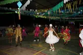 Flor do Gurgueia (Foto: Ascom)