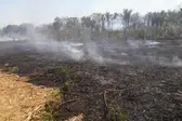 Reprodução / Divulgação  (Foto: Somos Notícia )