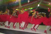  (Foto: )