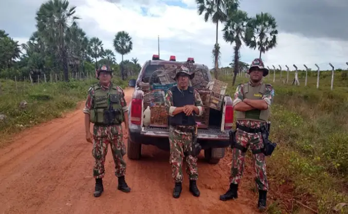 Foto: Divulgação / BPA