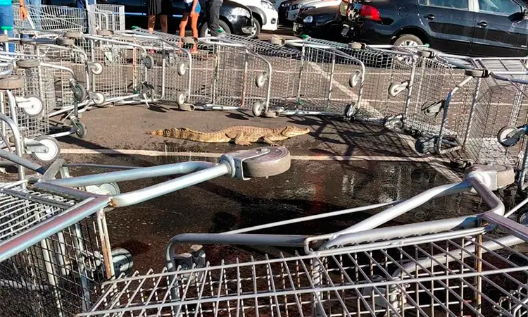 Foto: Reprodução BPA