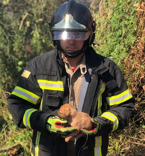 Foto: Divulgação Corpo de Bombeiros