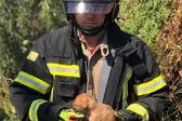 Foto: Divulgação Corpo de Bombeiros (Foto: )
