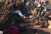 Foto: Realidade em Foco (Foto: Realidade em Foco)