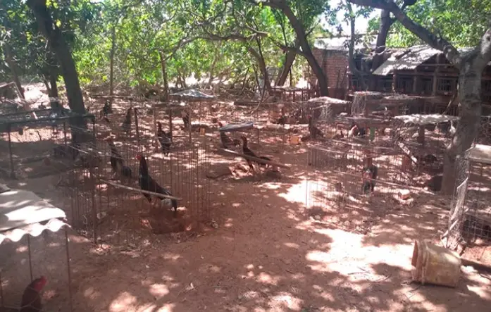 Foto: Divulgação BPA