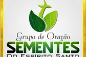  (Foto: Henrique Guerra)
