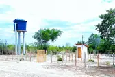  (Foto: ASCOM - Prefeitura Municipal de Joaquim Pires)