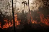 Imagem: Ueslei Marcelino/Reuters (Foto: Agência Brasil)