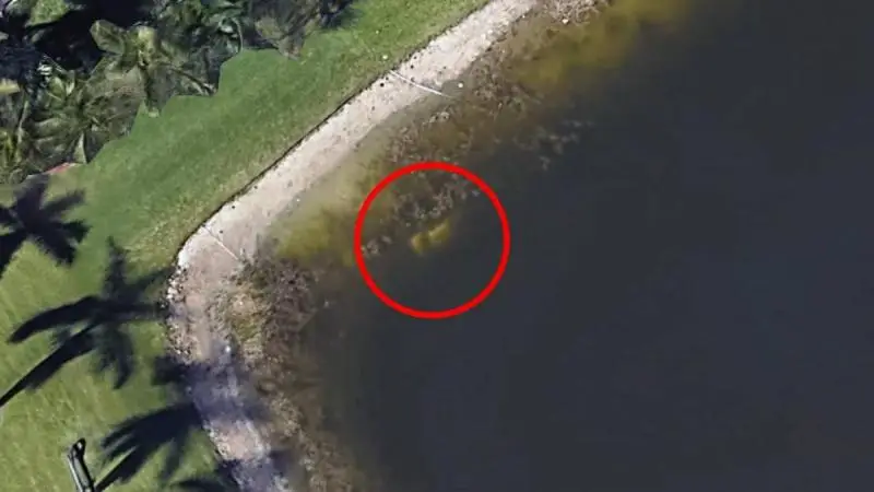 Foto: as imagens que revelaram o veículo (Google Earth)