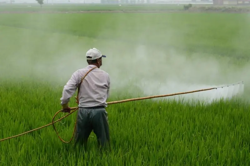 Aplicação de agrotóxico na lavoura. Foto: Pixabay.