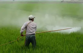 Aplicação de agrotóxico na lavoura. Foto: Pixabay. (Foto: G1)