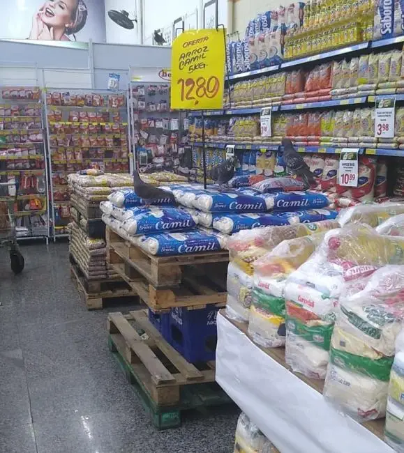 Foto: Arquivo Pessoal/Jhonattan Oliveira