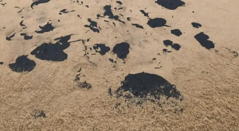 As manchas apareceram em 39 praias de diversos estados do Nordeste (Foto: Cortesia/WhatsApp)
