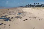 Manchas de óleo que atingem mar no Nordeste chegam na Bahia — Foto: João Arthur/Tamar (Foto: G1)