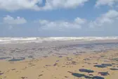 Manchas voltaram a se encontradas na praia de Pirambu — Foto: Ibama/SE (Foto: G1)