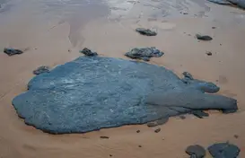 Mancha de óleo atinge o litoral do Sergipe - Adema/Governo de Sergipe (Foto: G1)