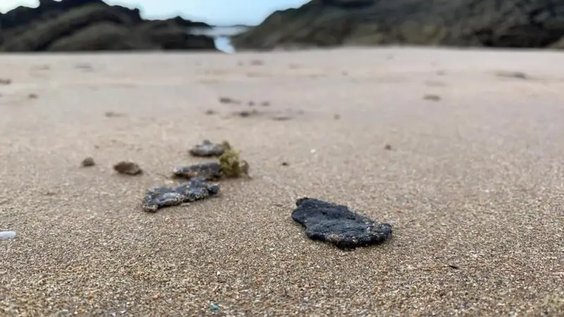 Em Piatã, as manchas ainda são pequenas e se assemelham ao tamanho de uma moeda - Foto: Victor Silveira / TV Bahia