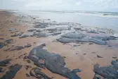 PRAIA ATINGIDA PELA MANCHA DE ÓLEO EM SERGIPE (FOTO: ADEMA/GOVERNO DE SERGIPE VIA AGÊNCIA BRASIL) (Foto: Época)