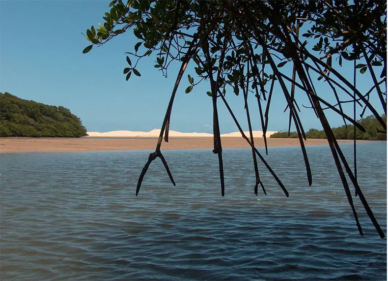 Foto: ICMBio